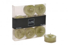 93413 BOX 9 TLC GRASS4H 12*12*2 CM