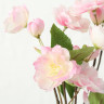 1018735 Stem flower Platterbse, 2 ass, ndoor, H 30 cm, Pink