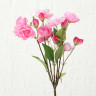 1018735 Stem flower Platterbse, 2 ass, ndoor, H 30 cm, Pink