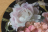 1008449 Undrerplate Bloom,2 ass, D 33cm, Plastik,Colour Mix