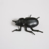 Figurine Camy, 3 ass, H 3 cm